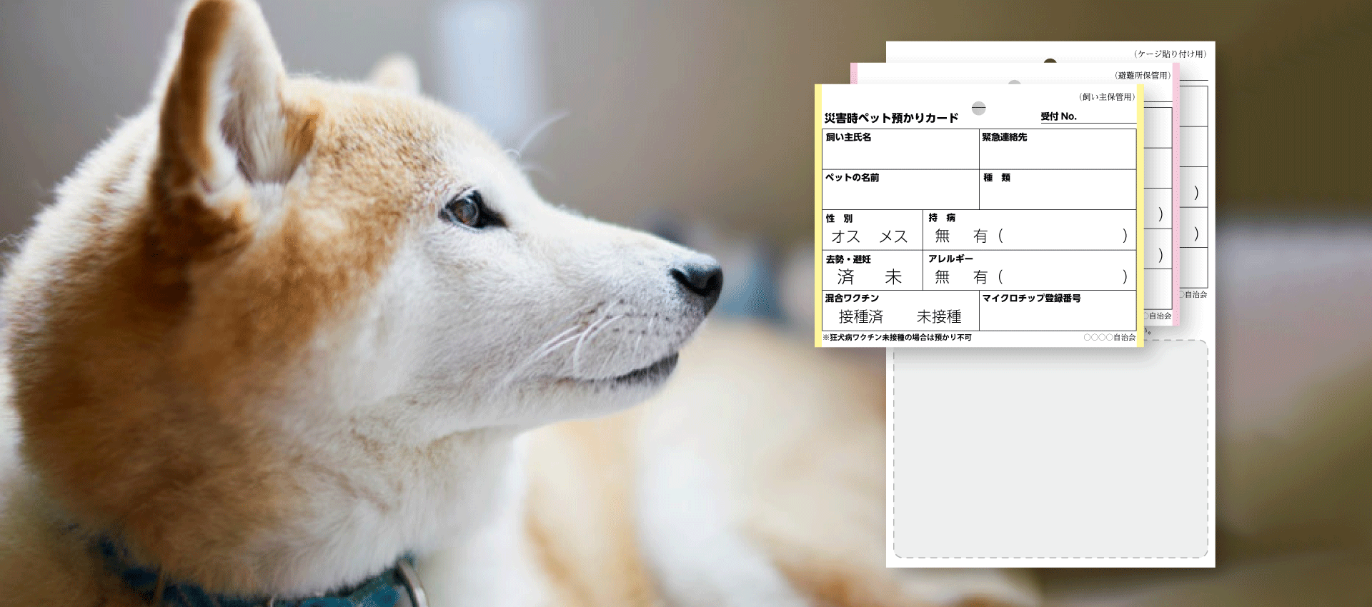 メインイメージ スライド画像2